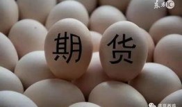 鸡蛋期货最新爆料,最新爆料揭示价格波动背后真相